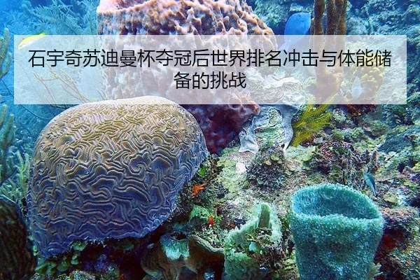 shi-yu-qi-su-di-man-bei-duo-guan-hou-shi-jie-pai-ming-chong-ji-yu-ti-neng-chu-bei-de-tiao-zhan-3-242.jpg