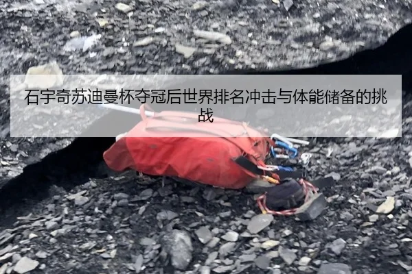 石宇奇苏迪曼杯夺冠后世界排名冲击与体能储备的挑战