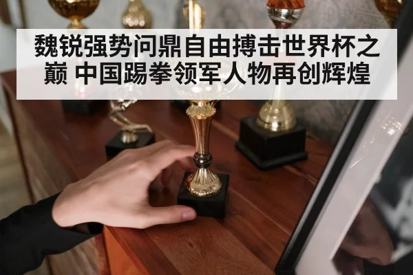 魏锐强势问鼎自由搏击世界杯之巅 中国踢拳领军人物再创辉煌